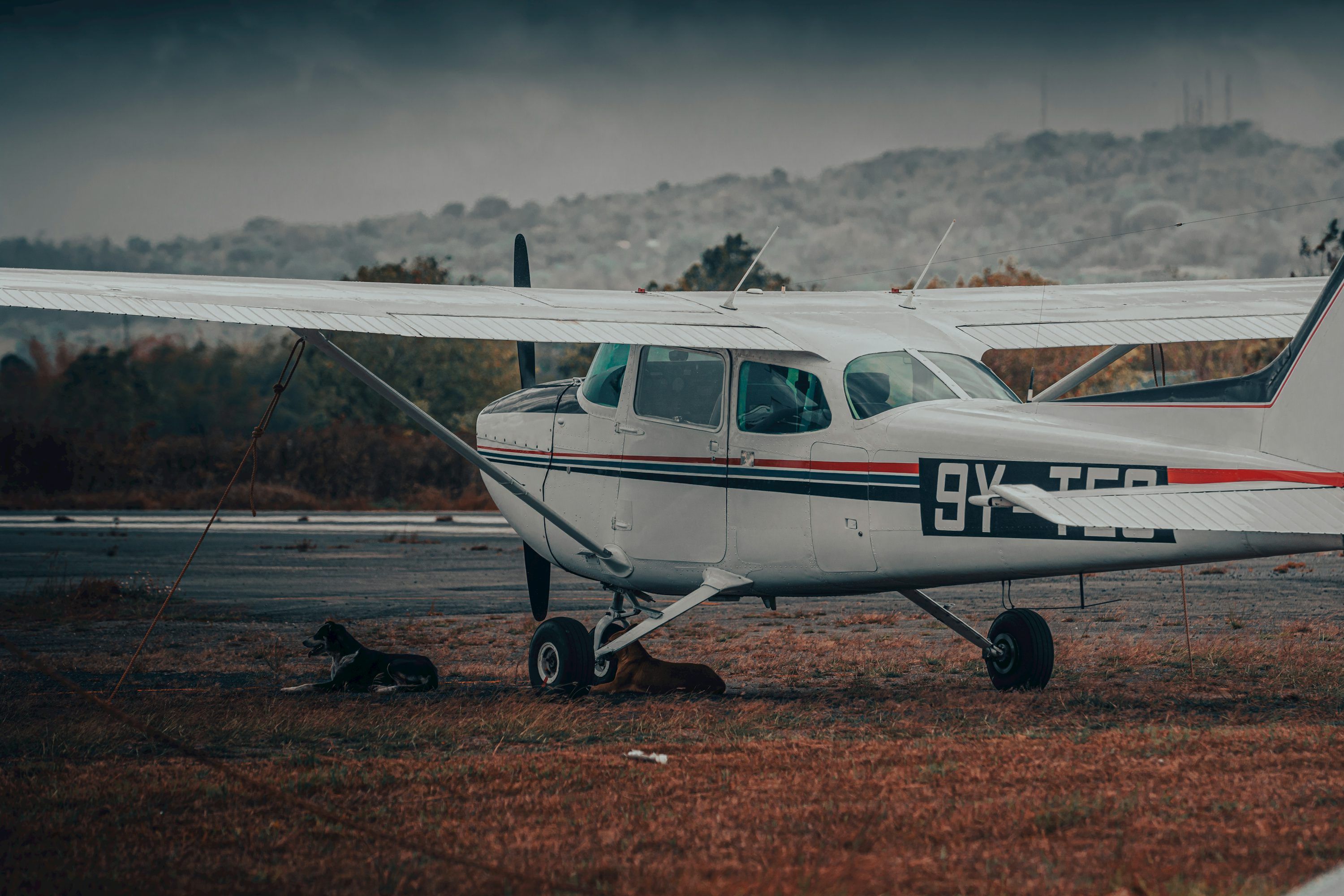 3000x2000 Best Cessna 172 Picture [HD]. Download Free Image