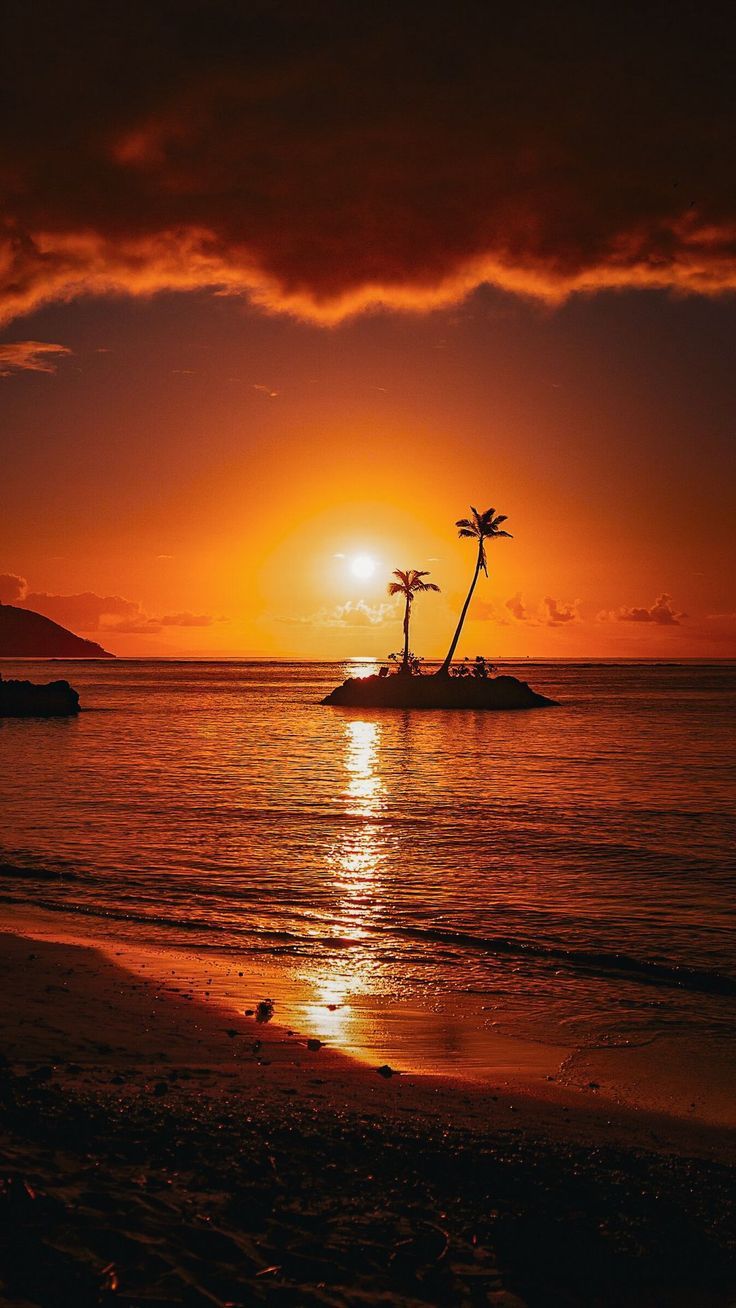 736x1308 Wallpaper island, sea, beach, sunset, landscape, Nature 4K by redwhite. Download wallpaper island, sea, beach, sunset, landscape for free