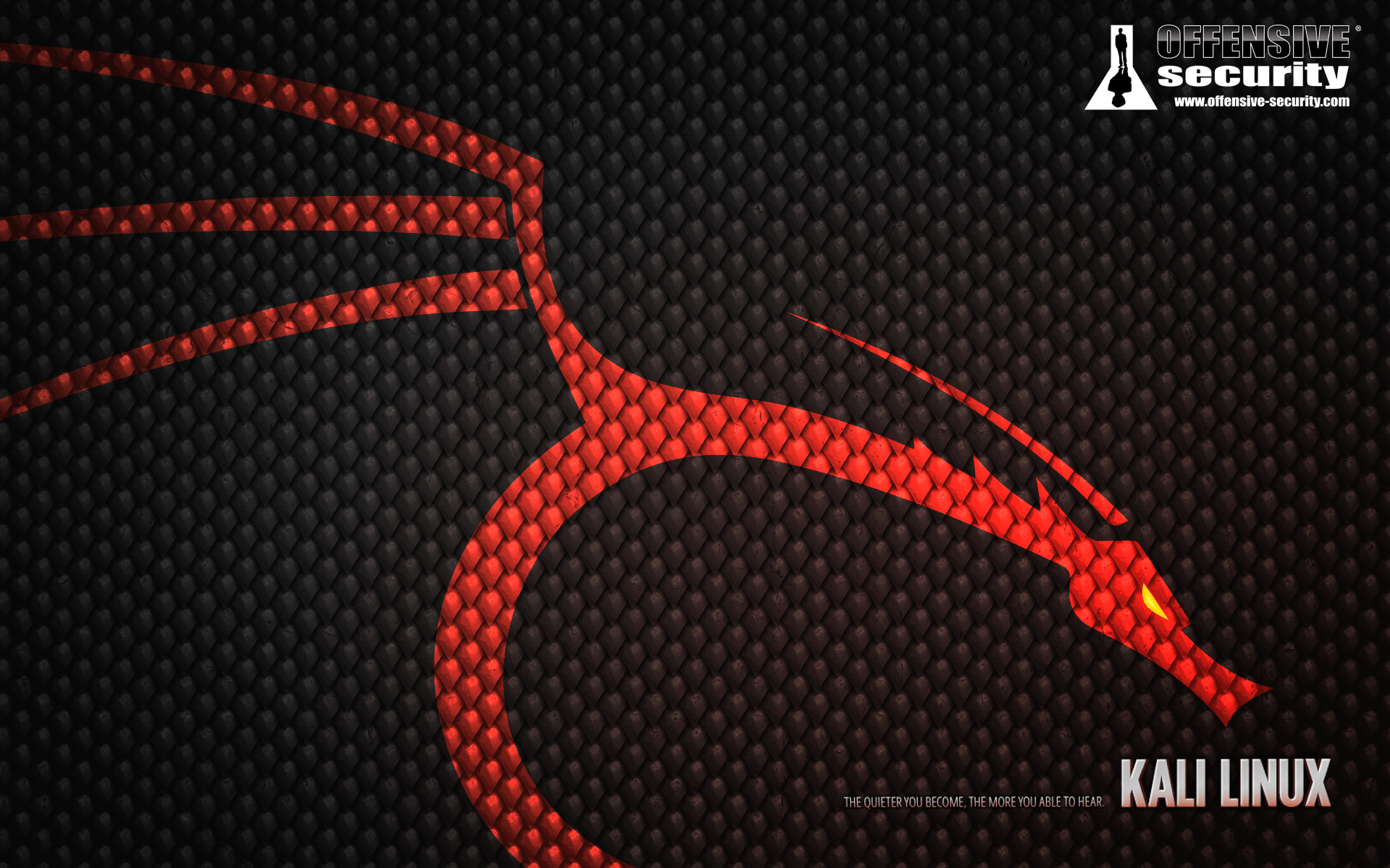 1920x1200 Kali Legacy Wallpaper