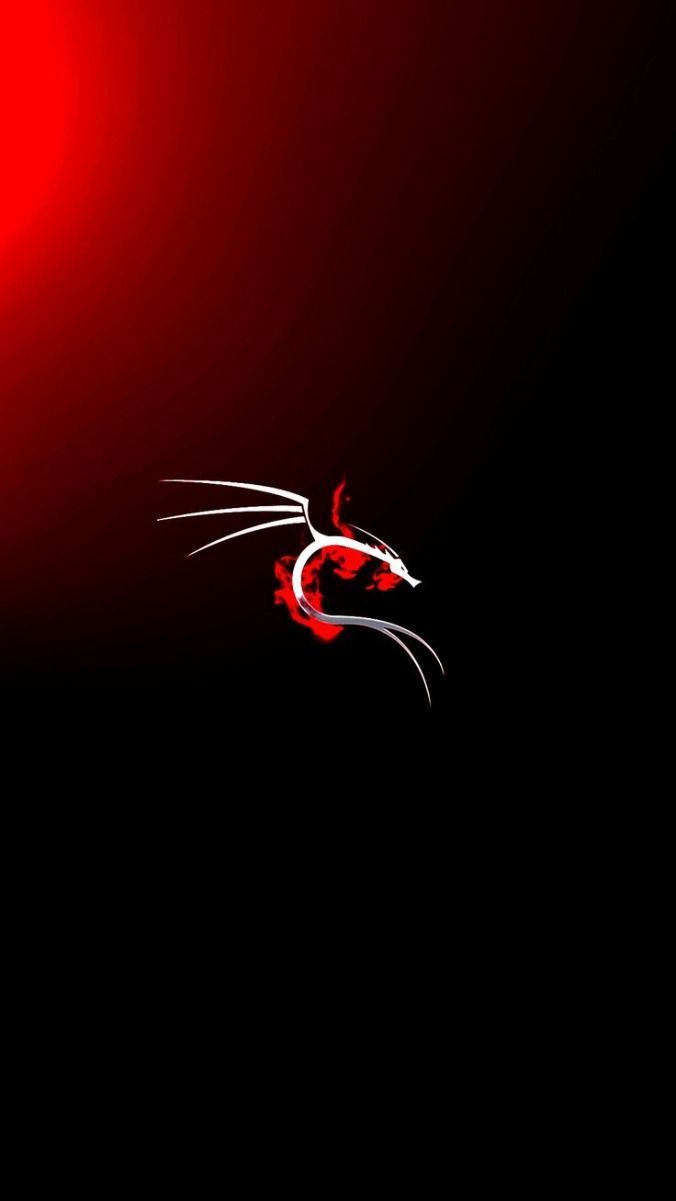 676x1201 Kali Linux Background Wallpaper Image