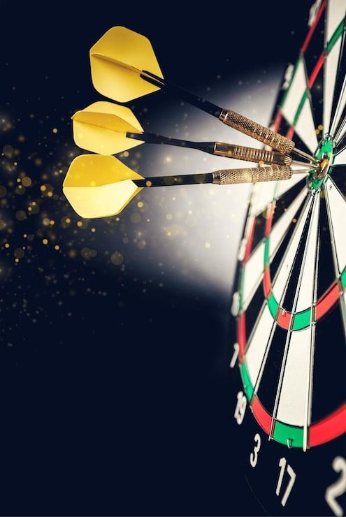 495x740 Darts Championship Photo Free High Quality Picture