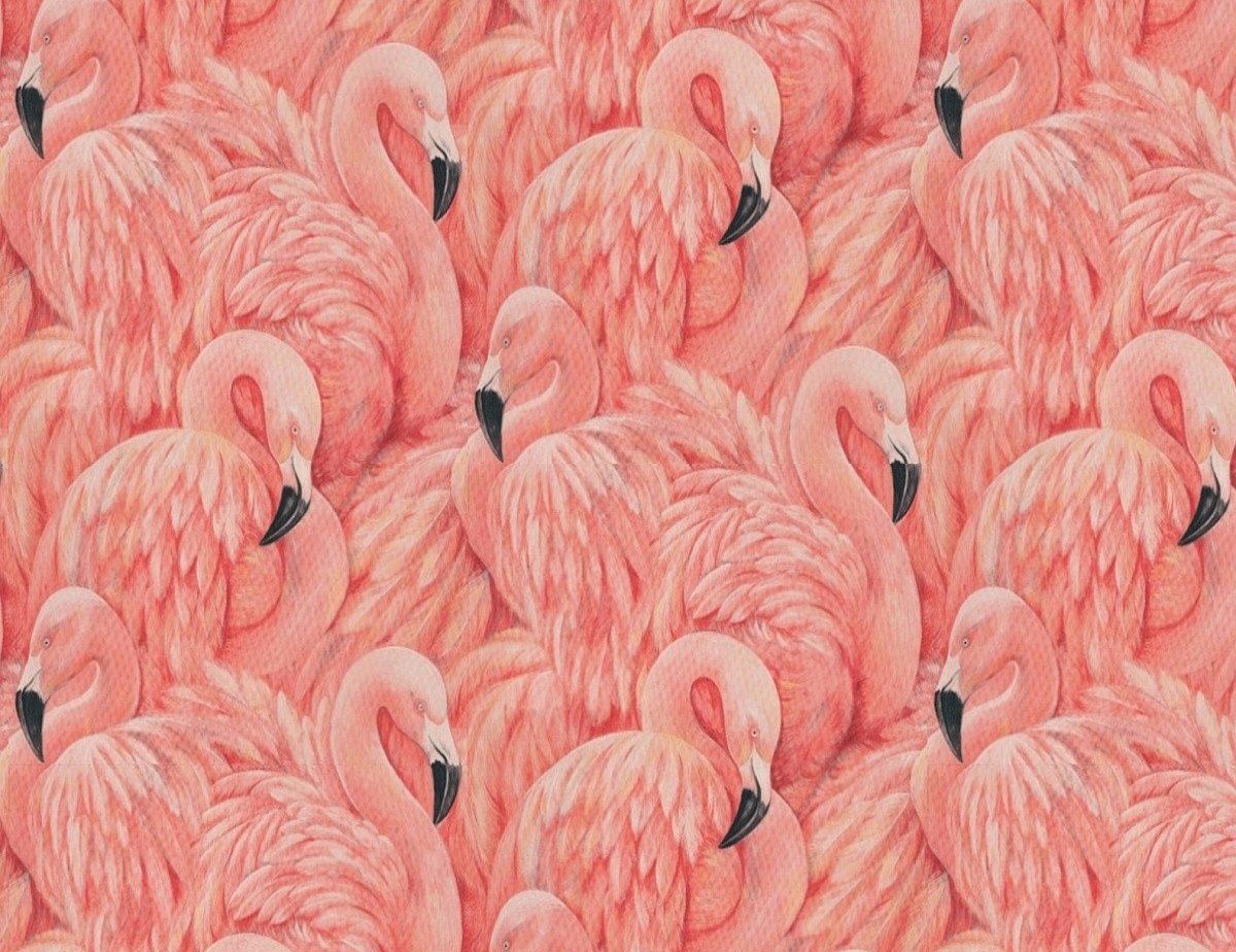 1200x924 Large Flamingo Wallpaper. The Alley Exchange