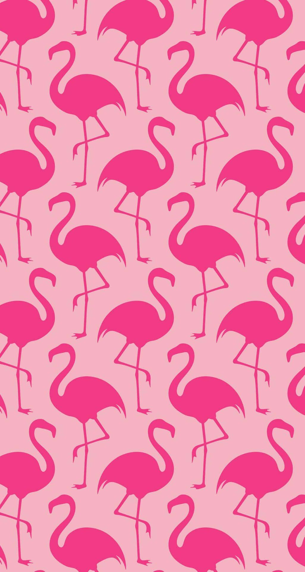 1026x1920 Download A Flock of Pink Flamingos in Serene Waters Wallpaper