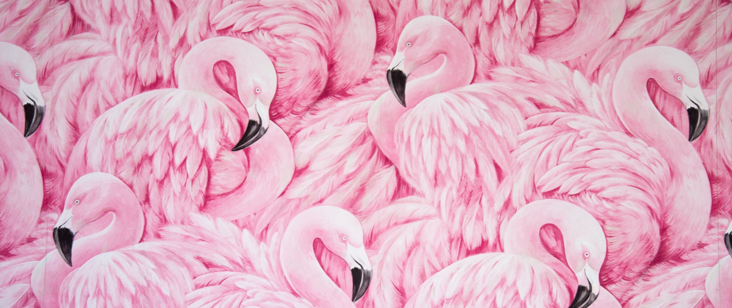 2560x1080 Pink Flamingos Wallpaper 4K, Painting, Feathers, Beautiful