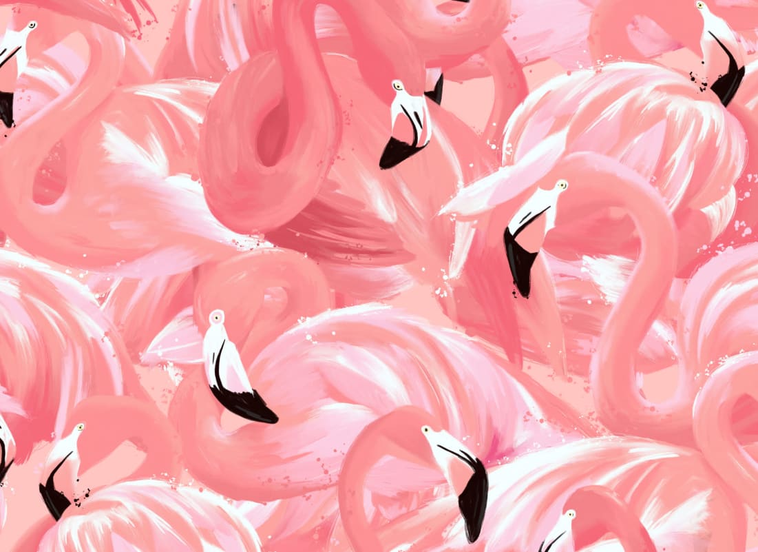 1101x801 Blush