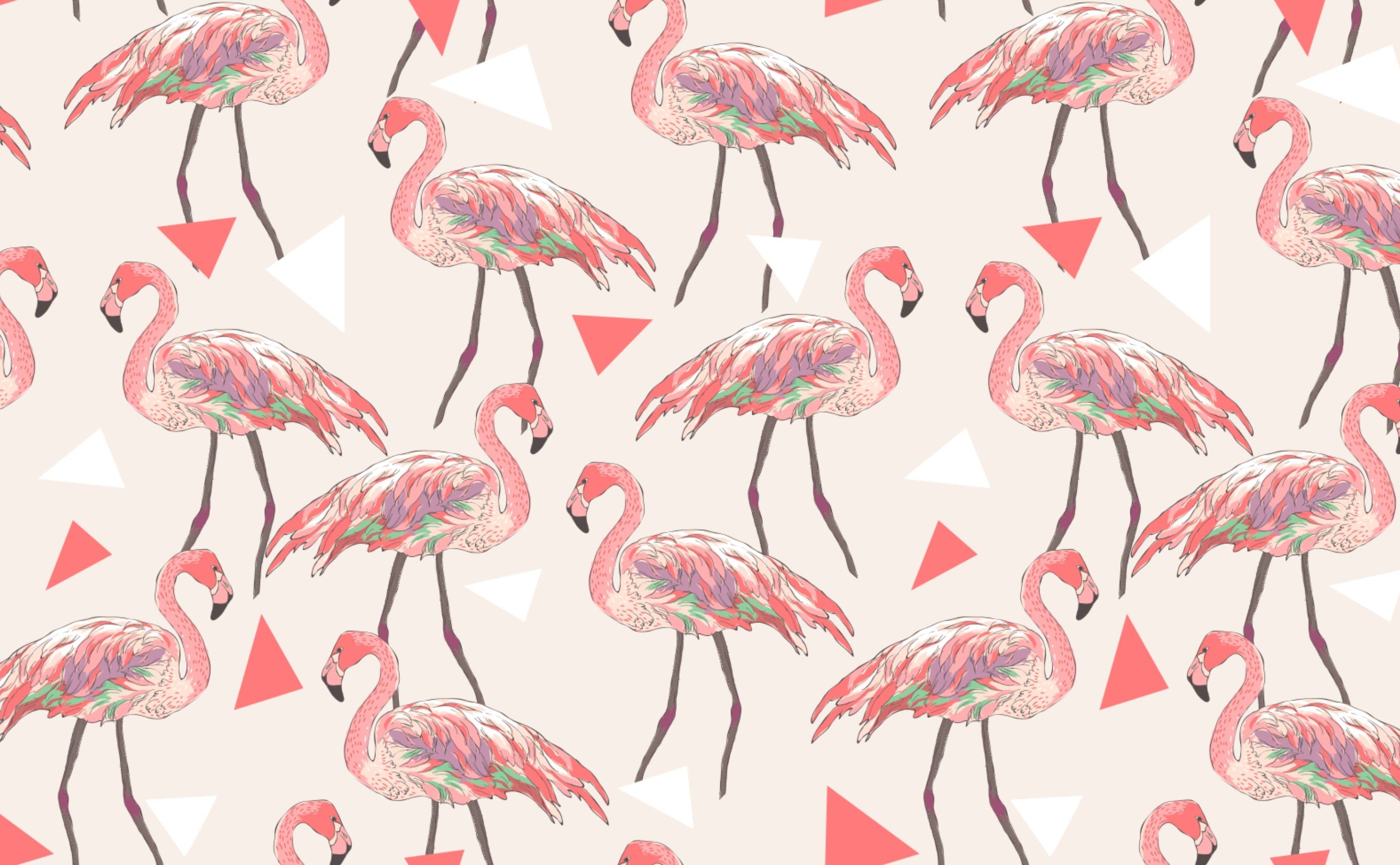 3028x1872 Funky Flamingos
