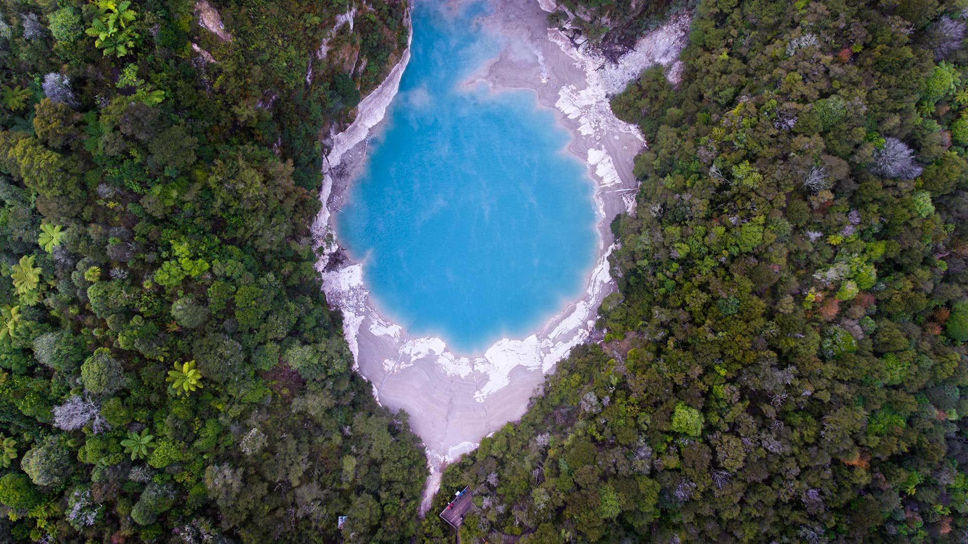 1920x1080 Heard some Hot Takes and Steamy Gossip? Here's the Truth about Waimangu in Rotorua Volcanic Valley