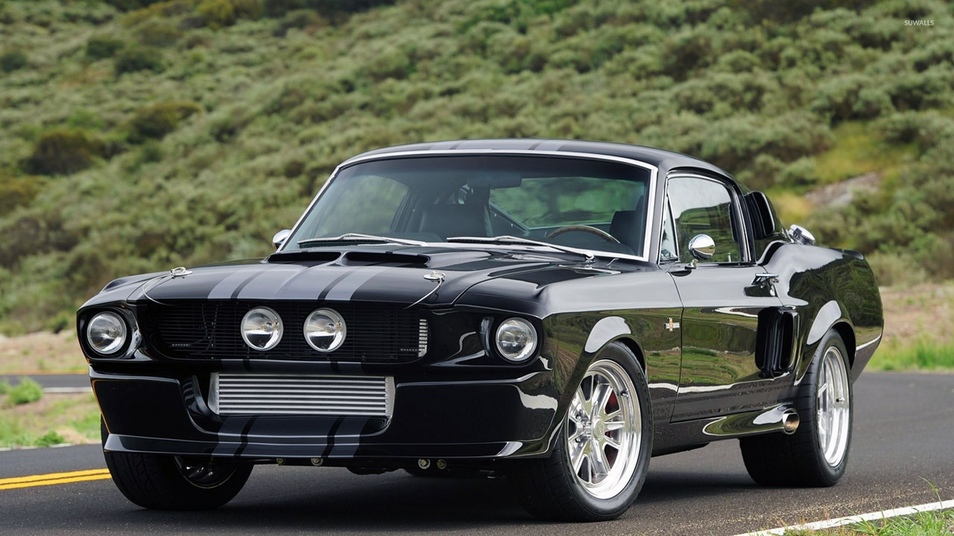 1920x1080 Shelby Cobra GT 500KR wallpaper wallpaper