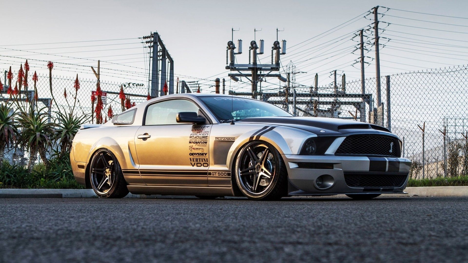 1920x1080 shelby, Gt Black, Ford, Mustang, Cobra, Gt, Supersnake, Tuning Wallpaper HD / Desktop and Mobile Background