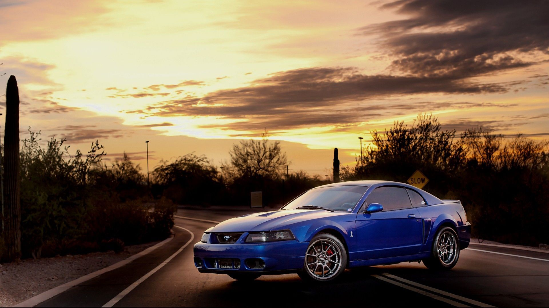 1920x1080 SVT Cobra Wallpaper