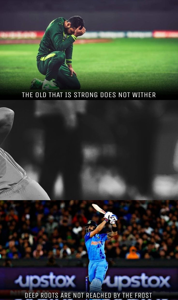 736x1241 cricket wallpaper. Health quotes motivation, Ms dhoni profile, Cricket wallpaper