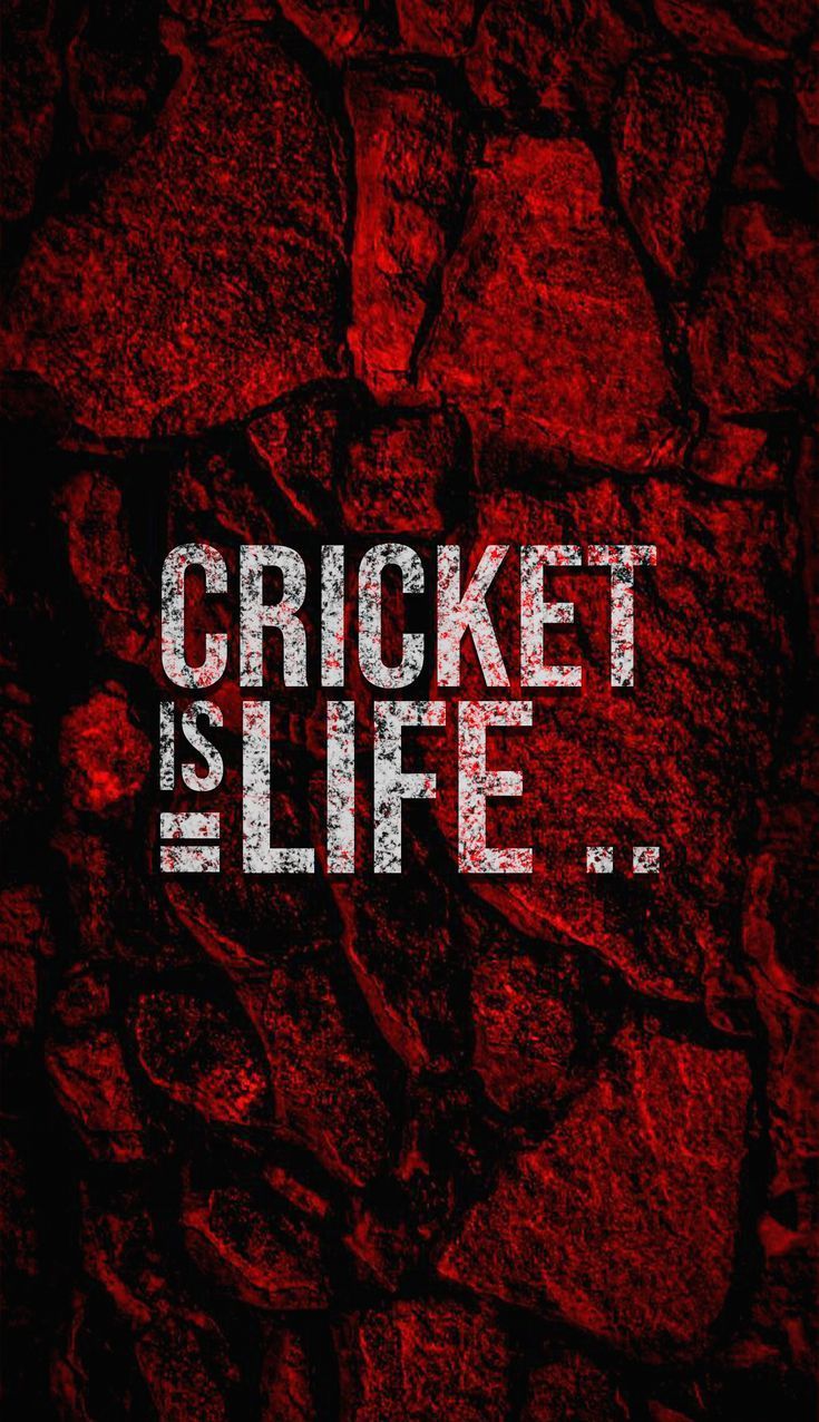 735x1276 Cricket Motivation Wallpaper