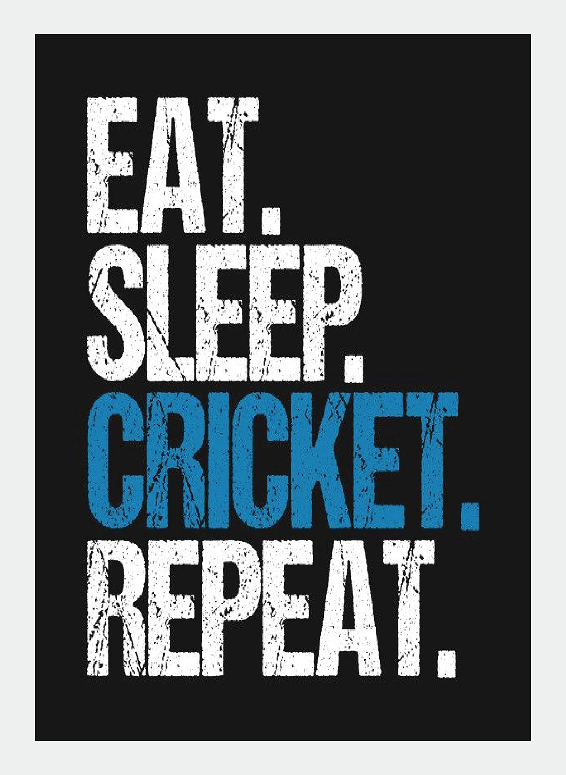 1871x2560 Buy BIRD'S MIND Eat Sleep Cricket Quotes Wall Hanging Synthetic Wood Cricket Photo Framed Poster L x H 9.5 Inches x 13 Inches(Multicolour) Online at Lowest Price Ever in India