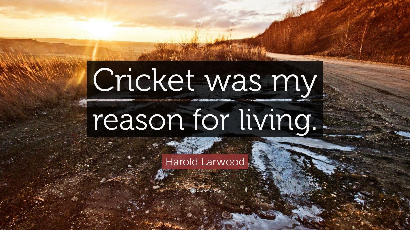1600x900 Harold Larwood Quote: “Cricket was my reason for living.”