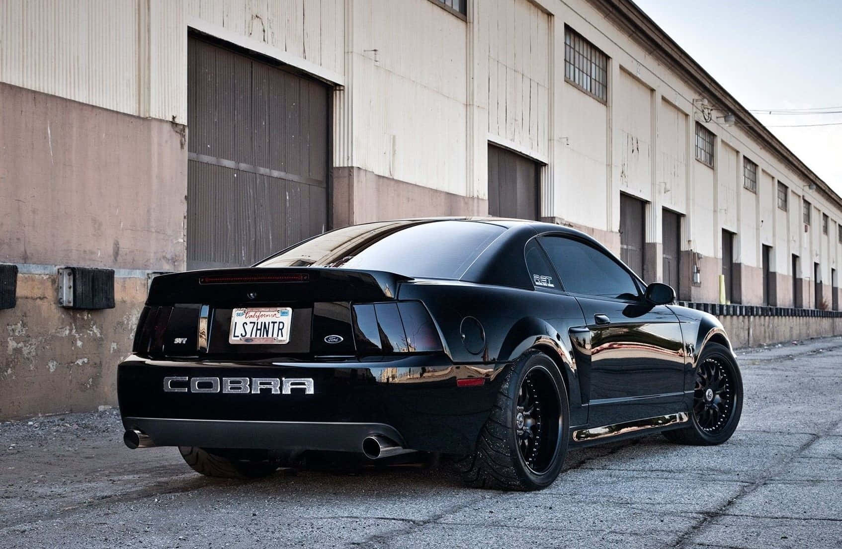 1694x1105 Download Caption: Majestic Ford Mustang Svt Cobra At Sunset Wallpaper