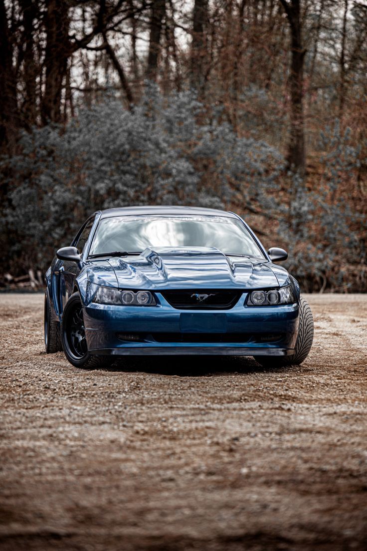 736x1104 Ford Mustang SVT Cobra !!