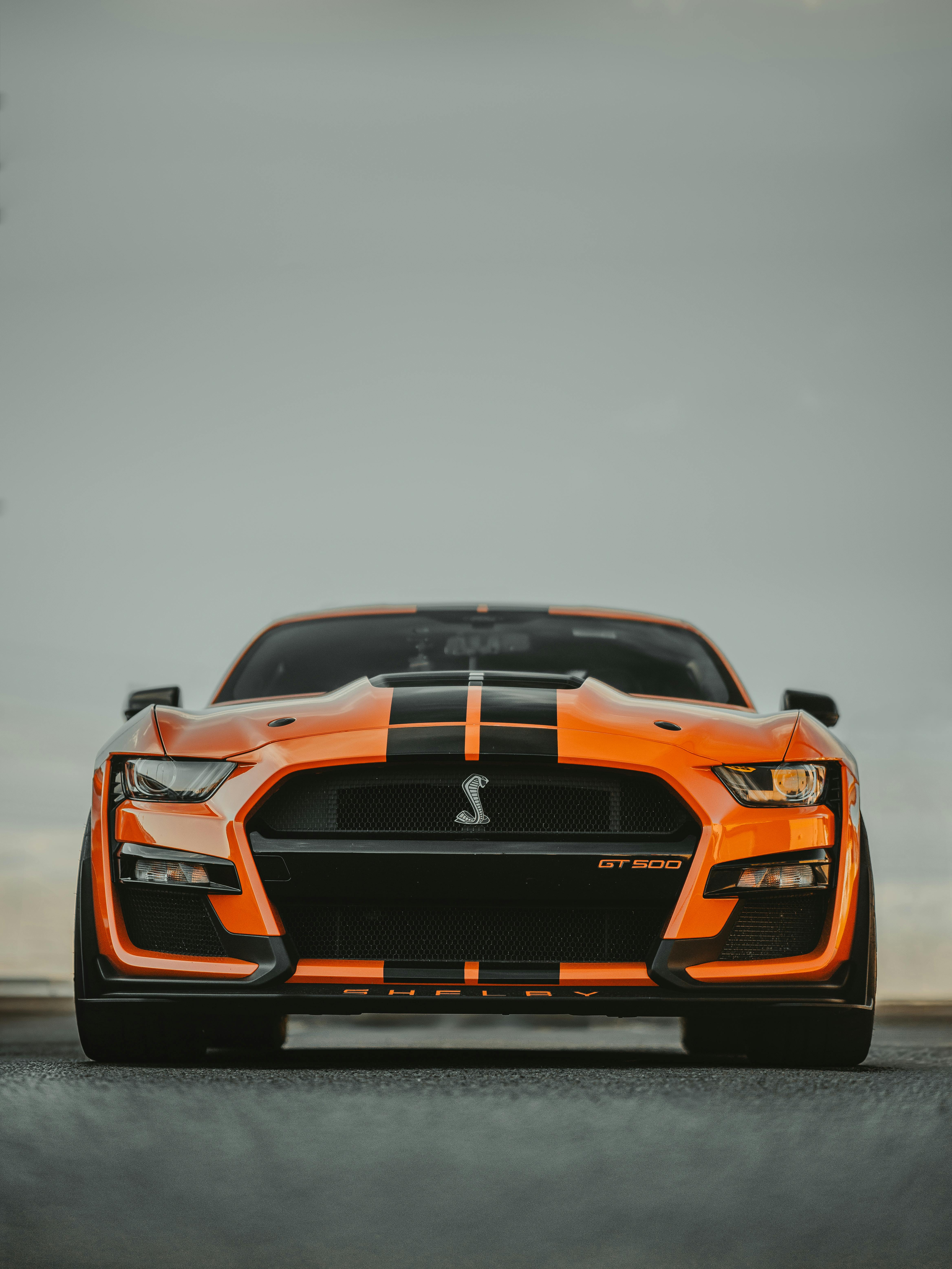 4672x6224 Mustang Gt Shelby Cobra Photo, Download The BEST Free Mustang Gt Shelby Cobra & HD Image