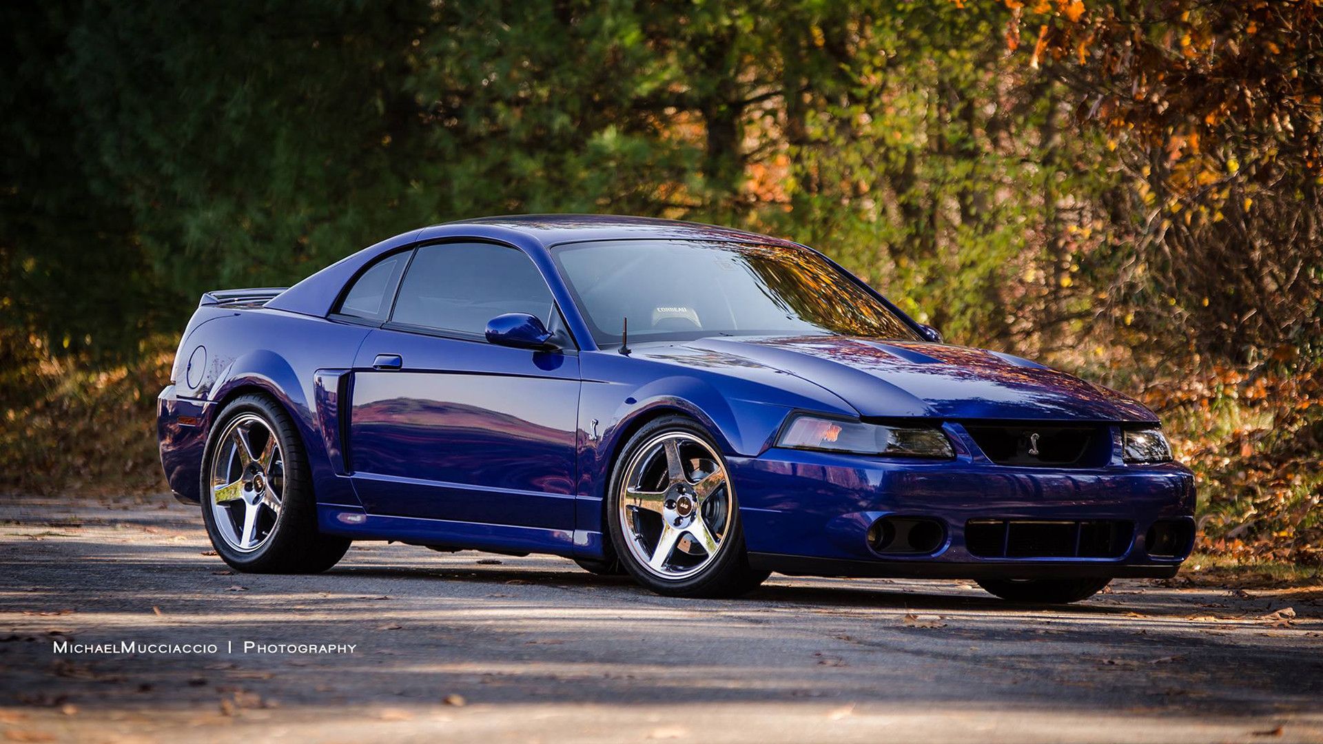 1920x1080 Mustang Cobra Wallpaper