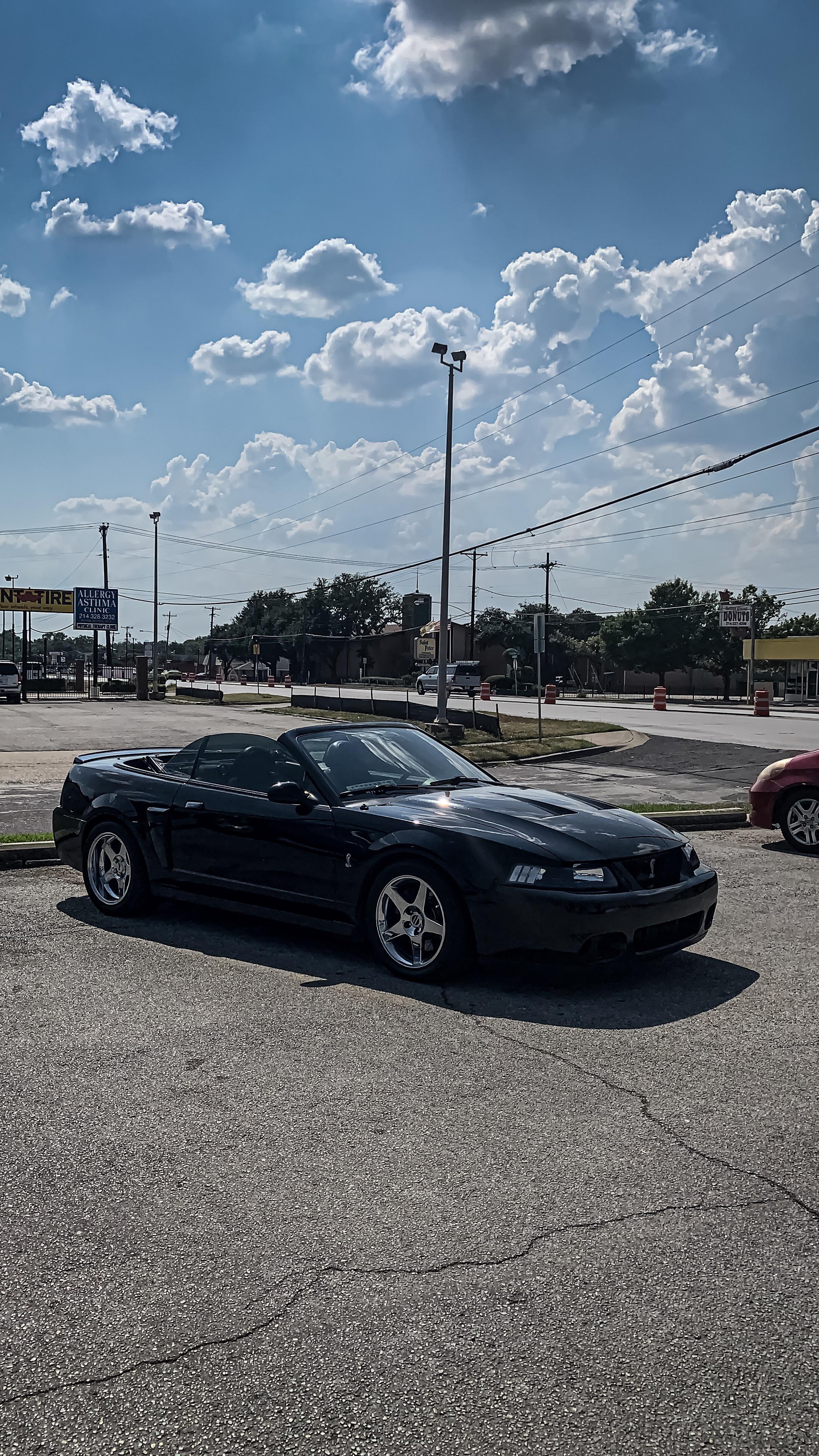 2160x3840 Best car I've ever driven. 2003 SVT Cobra “Terminator”