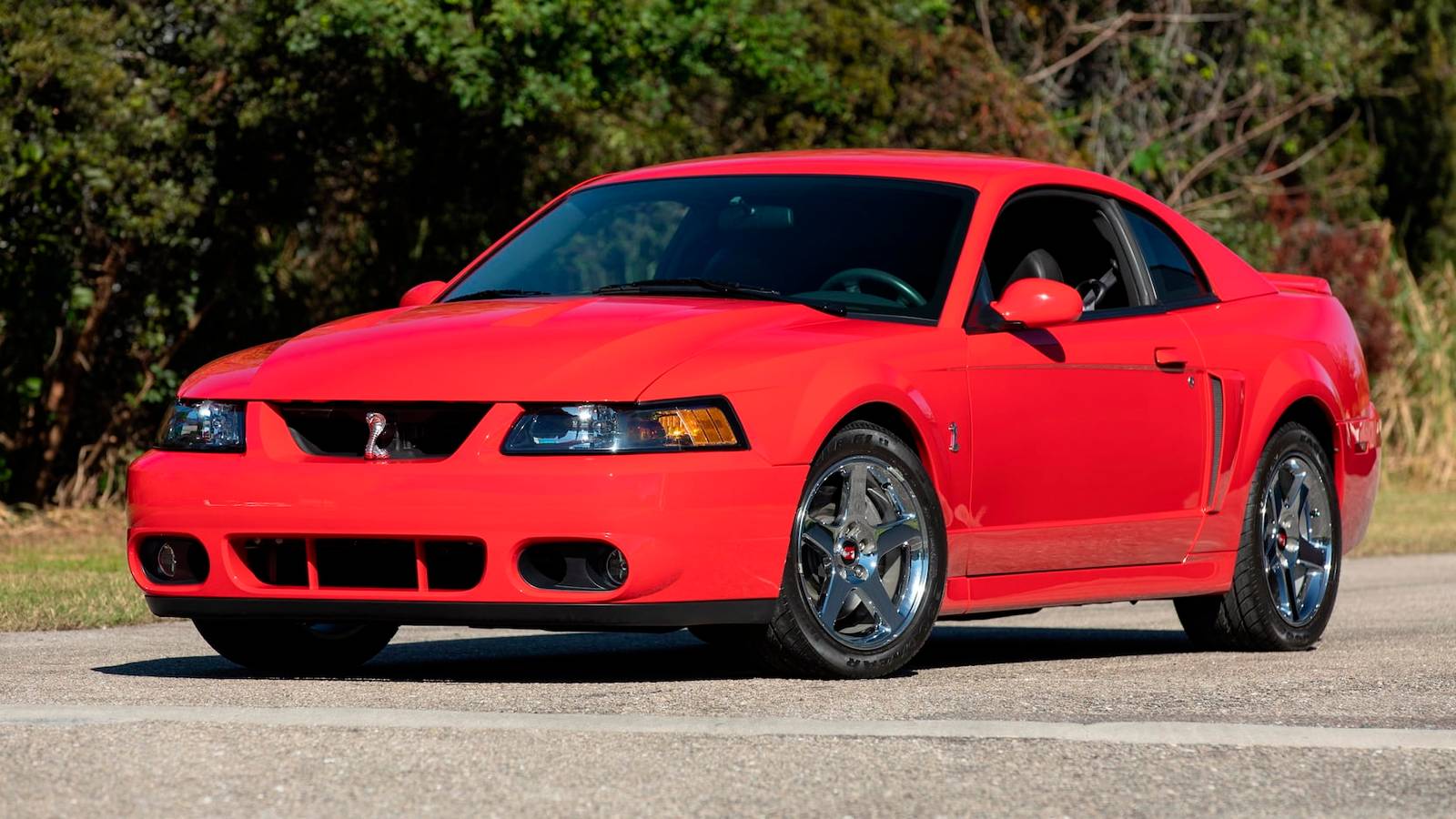 1600x900 Amazing Things About The Ford SVT Mustang Cobra
