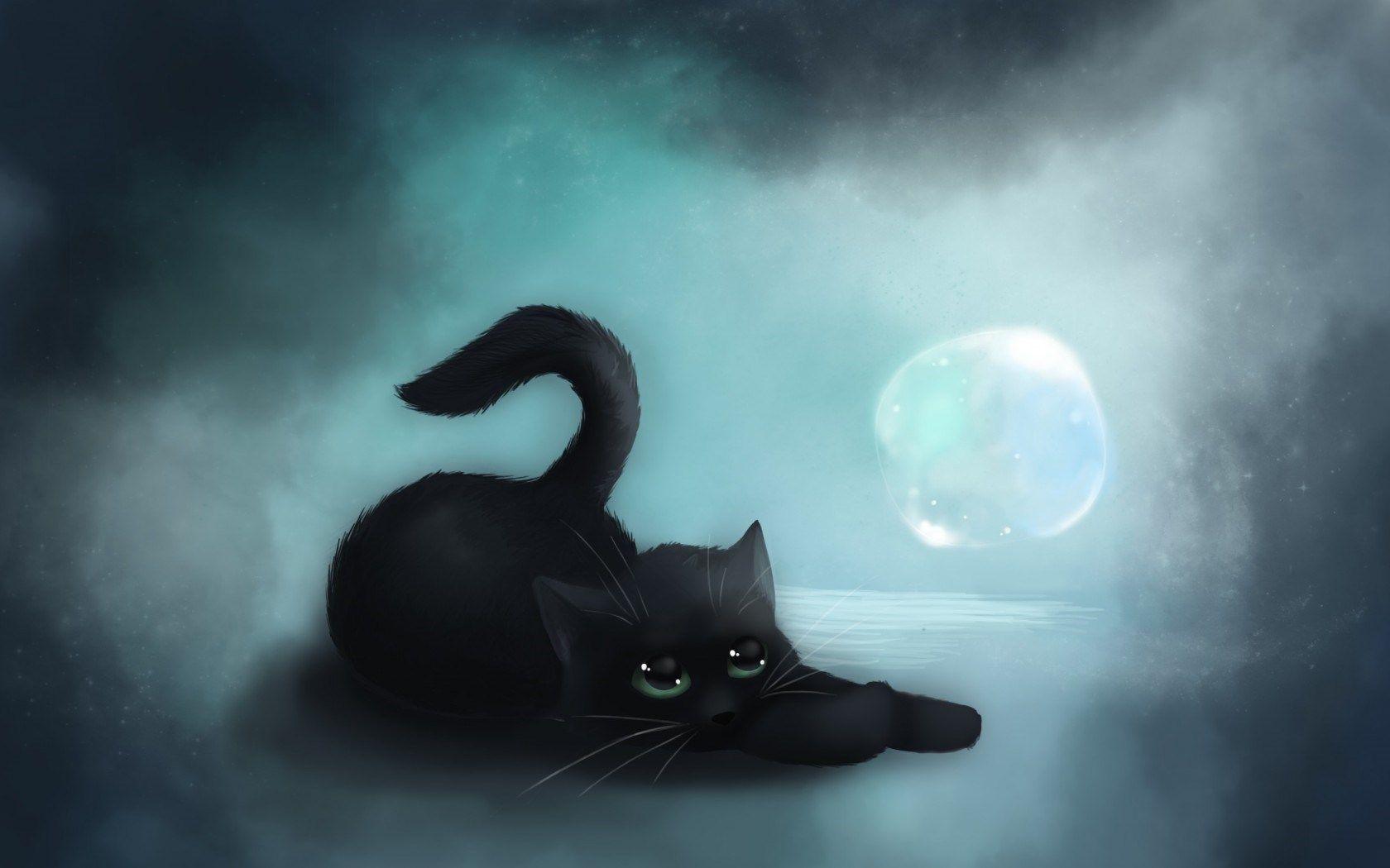1680x1050 Cute Black Cat Background
