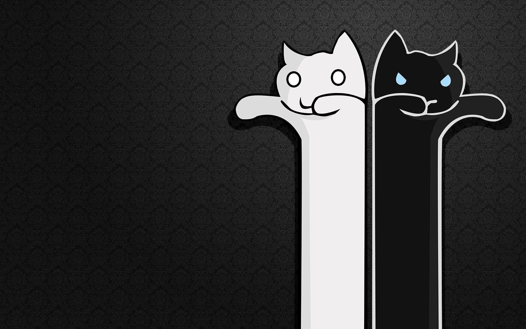 1680x1050 Dark Cat Wallpaper