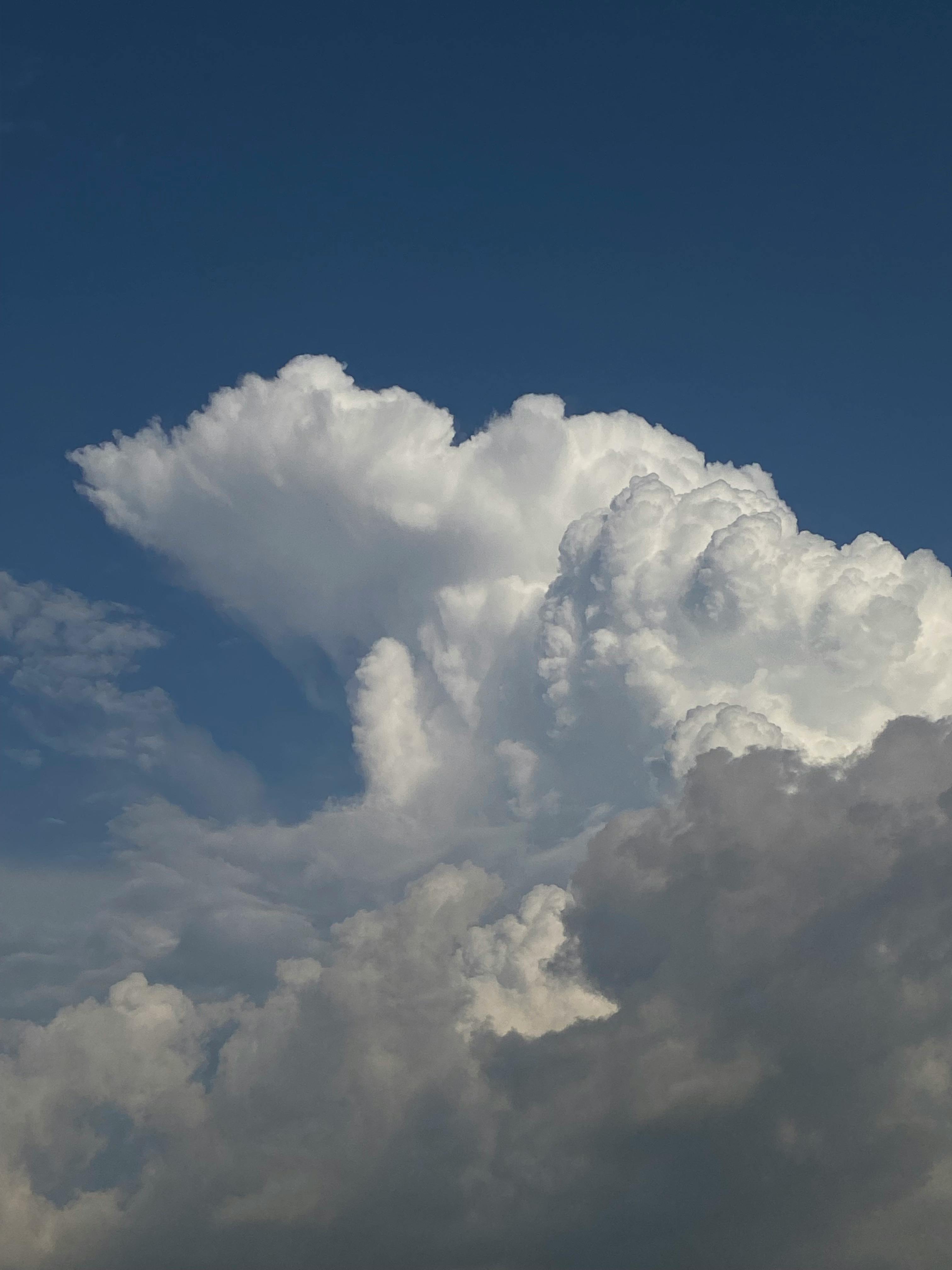 3024x4032 Cumulonimbus Cloud in the Blue Sky · Free