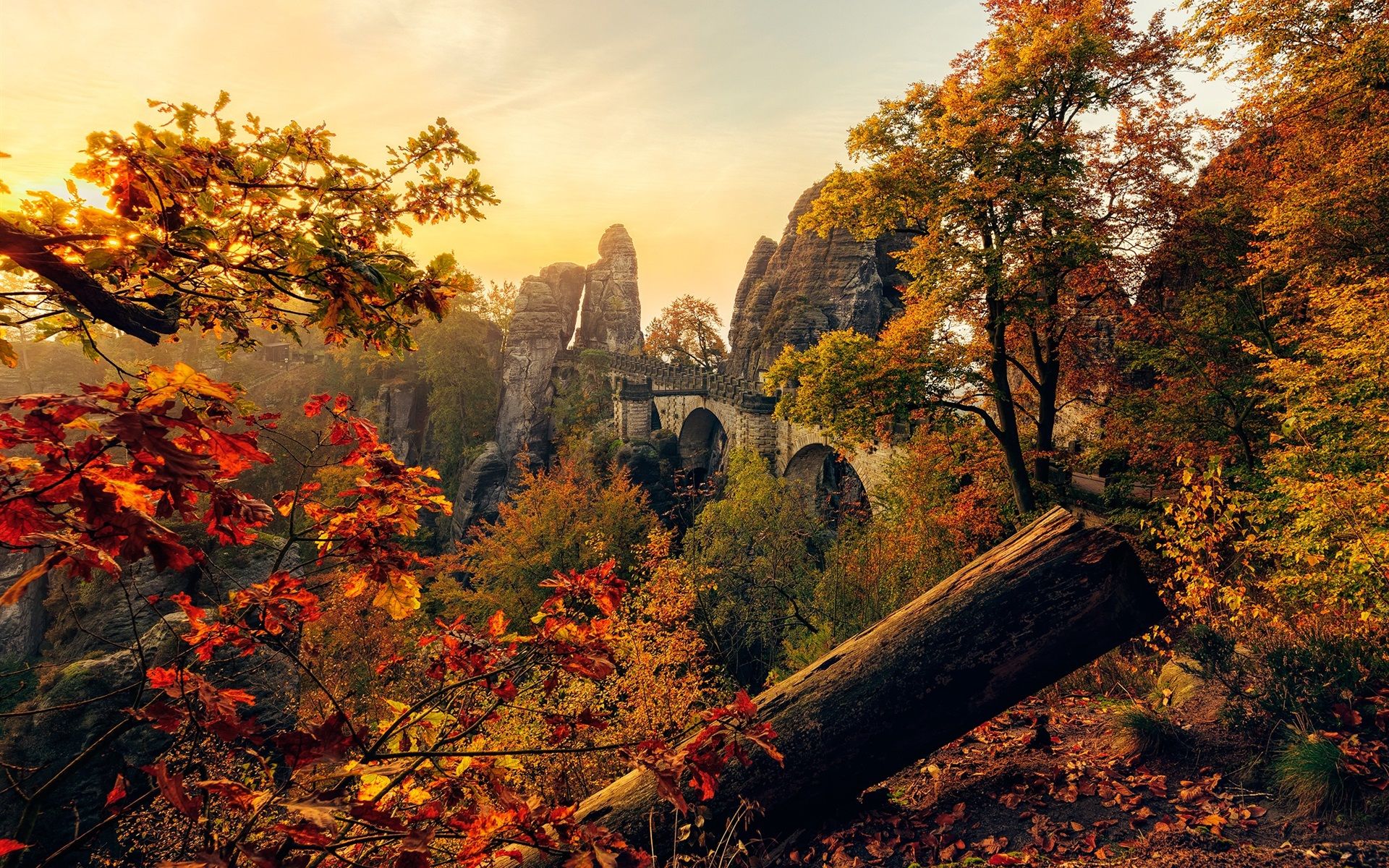 1920x1200 Wallpaper Saxony, Germany, bridge, trees, rocks, sun rays, autumn 1920x1200 Picture, Image