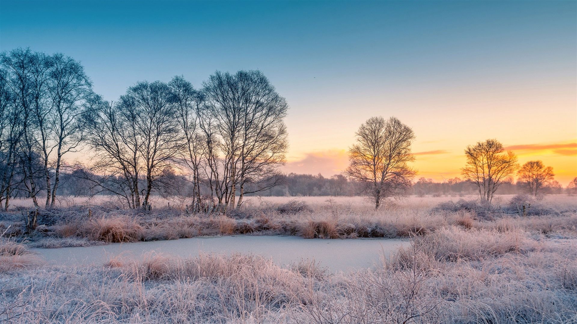 1920x1080 Snow covered field Sunset East Frisia Lower Saxony Bing 4K