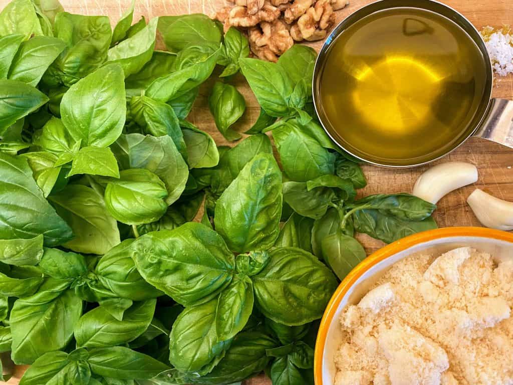 1024x768 NO FUSS BASIL WALNUT PESTO RECIPE (for Busy Moms) In Italy