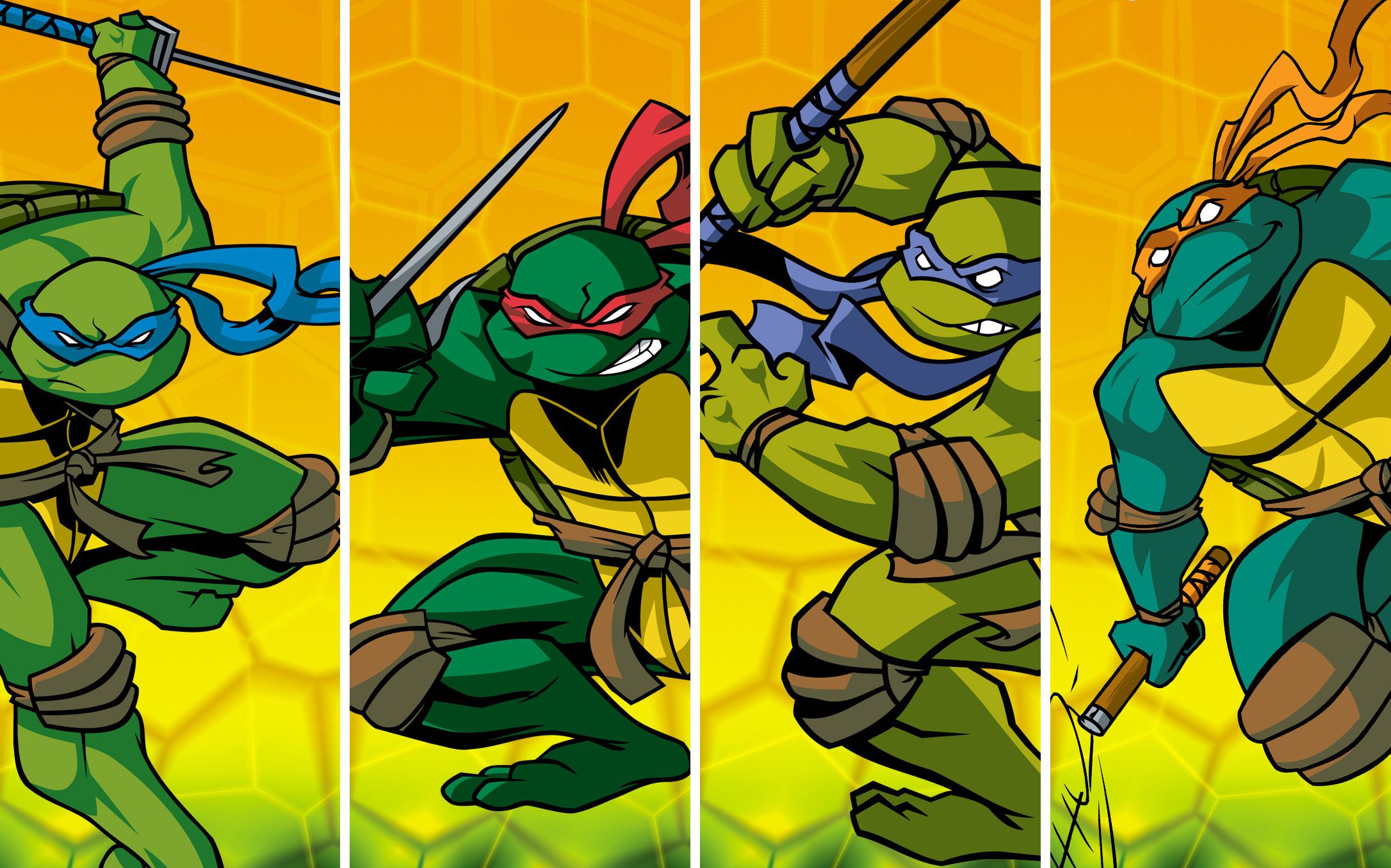 2172x1356 Teenage Mutant Ninja Turtles 2003 Wallpaper