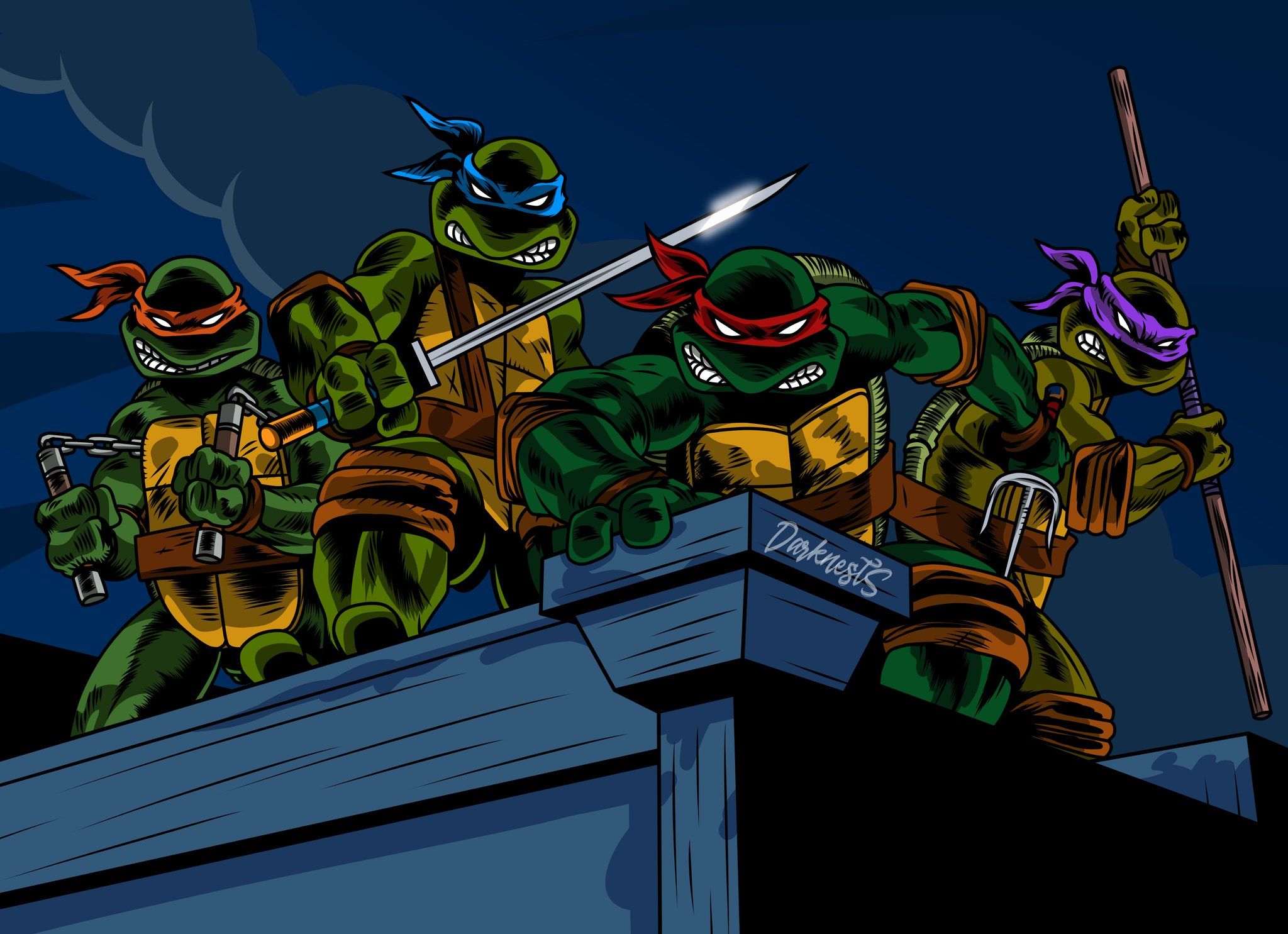 2048x1485 What was your favourite Turtle growing up?