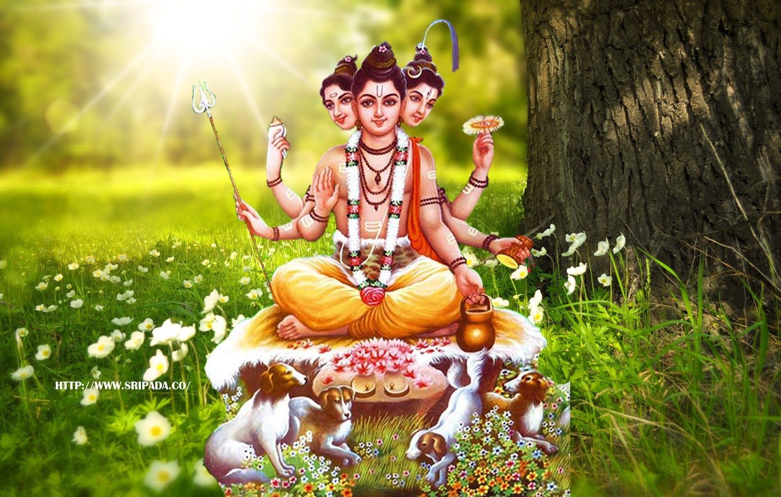 Datta Maharaj Wallpapers - Top Free Datta Maharaj Backgrounds ...