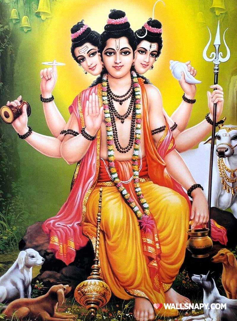 799x1080 High resolution lord dattatreya 4k wallpaper