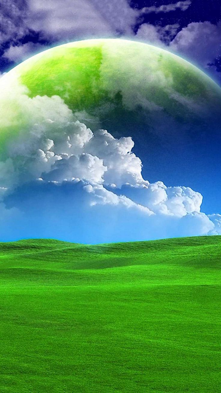 736x1308 Windows XP Wallpaper