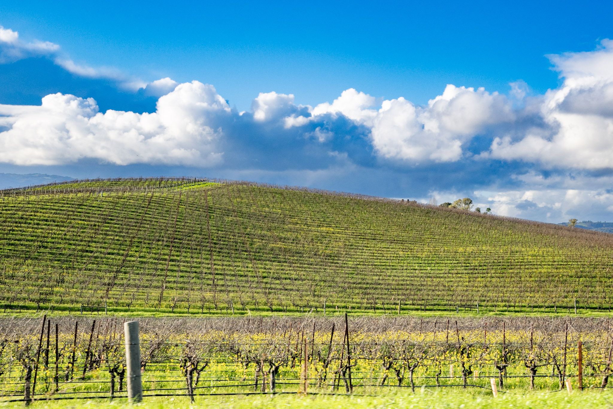 2048x1365 Nerds Unite: What the Famous Windows XP Wallpaper Location Looks Like In 2024 World Traveler