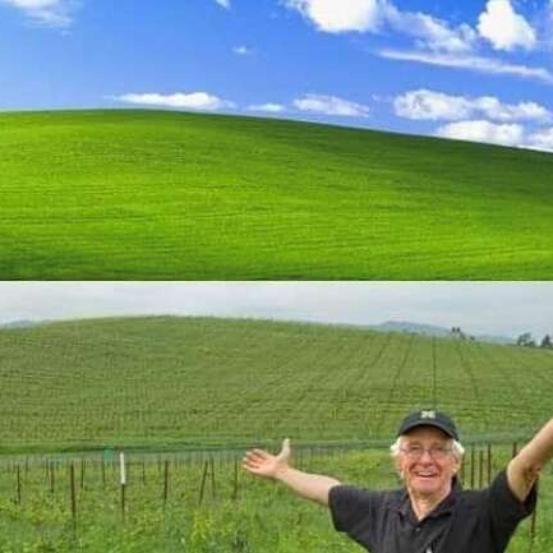 1800x1800 The iconic Microsoft wallpaper image was taken in Sonoma County. Now it's become a meme