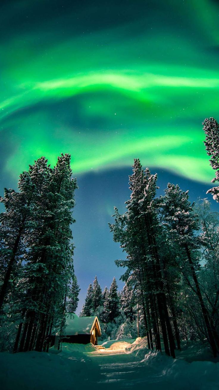 736x1308 Aurora Winter iPhone Wallpaper