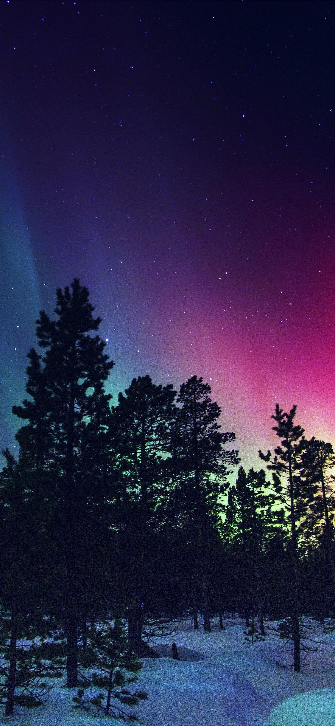 1125x2436 iPhone X wallpaper. snow sky aurora night winter christmas blue