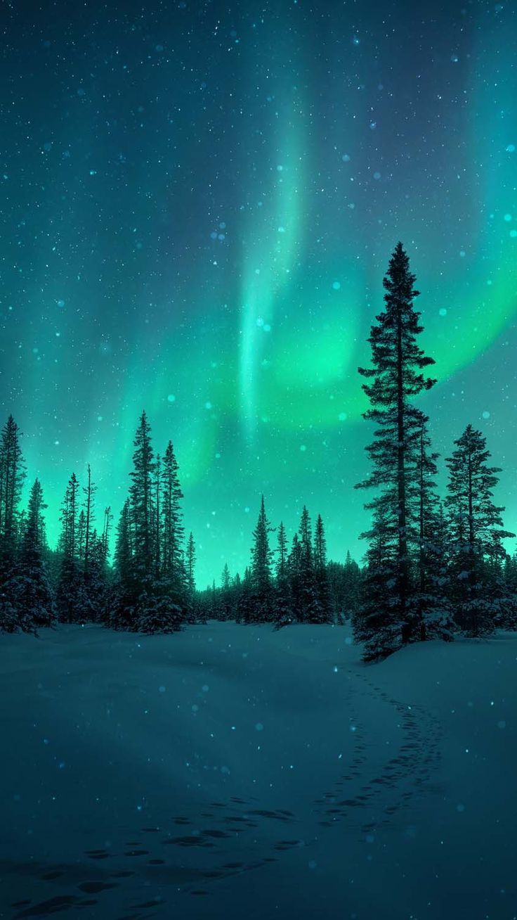 736x1308 Snow Fall Northern Lights iPhone Wallpaper HD