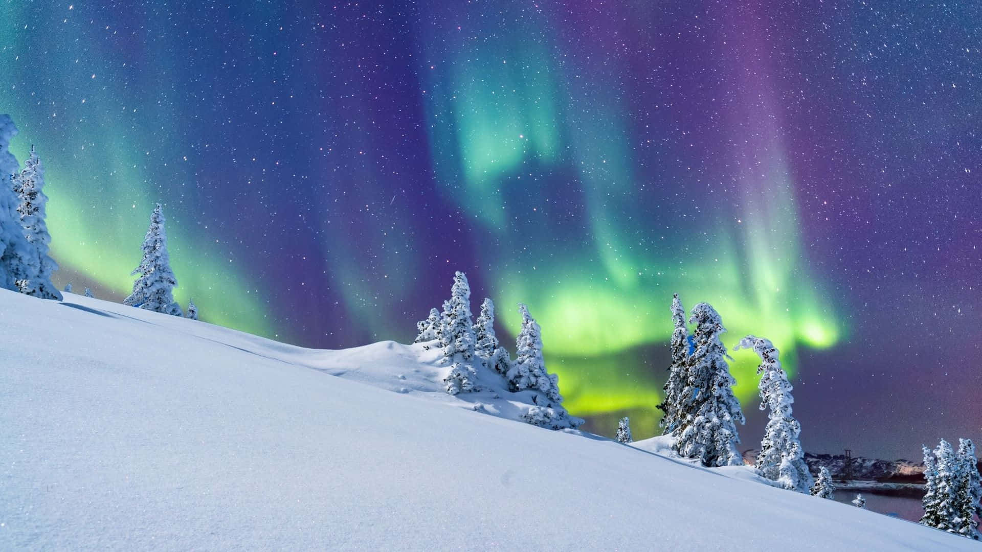 1920x1080 Download Aurora Borealis Winter Wonderland Background