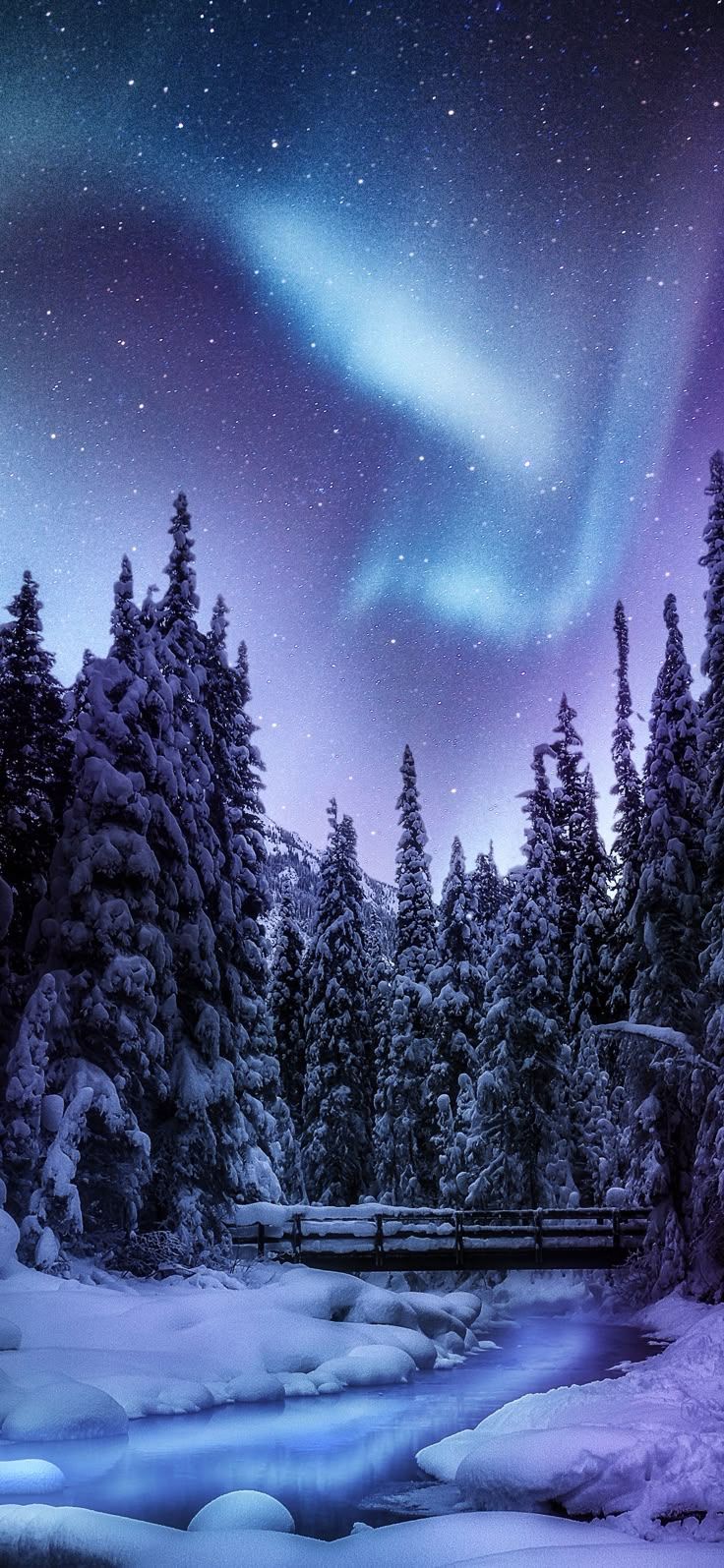 736x1595 Fond écran. Winter scenery, Winter wallpaper, Northern lights wallpaper