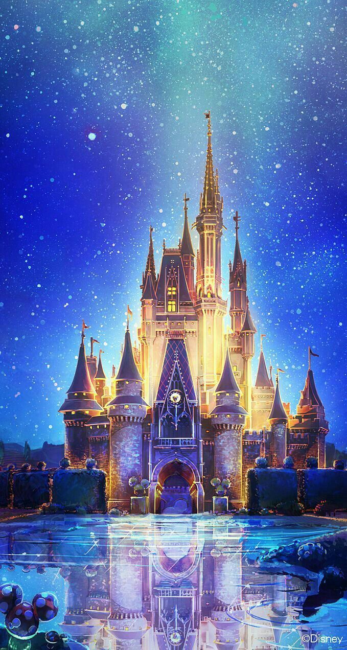679x1272 Disney' s castle