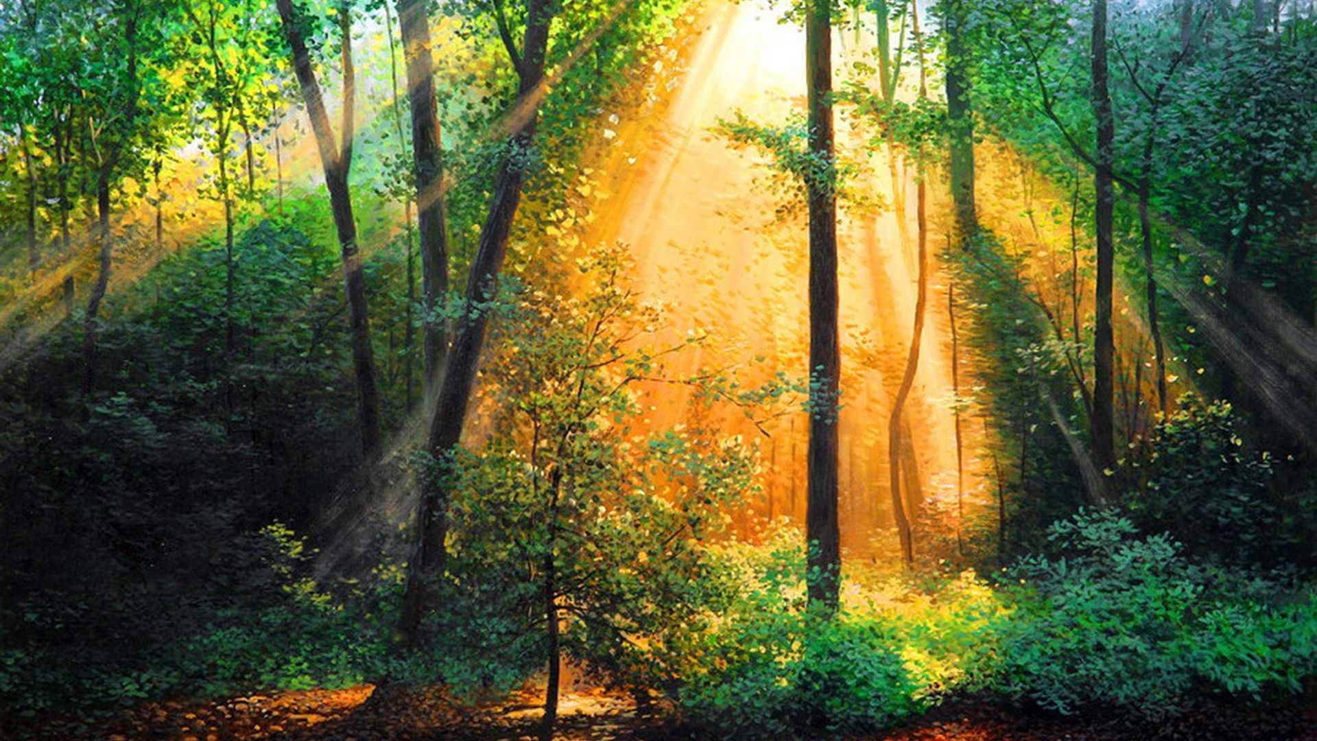 1920x1080 Green Trees Forest In Sunlight Sunrise Background Glow Morning HD Sunrise Wallpaper