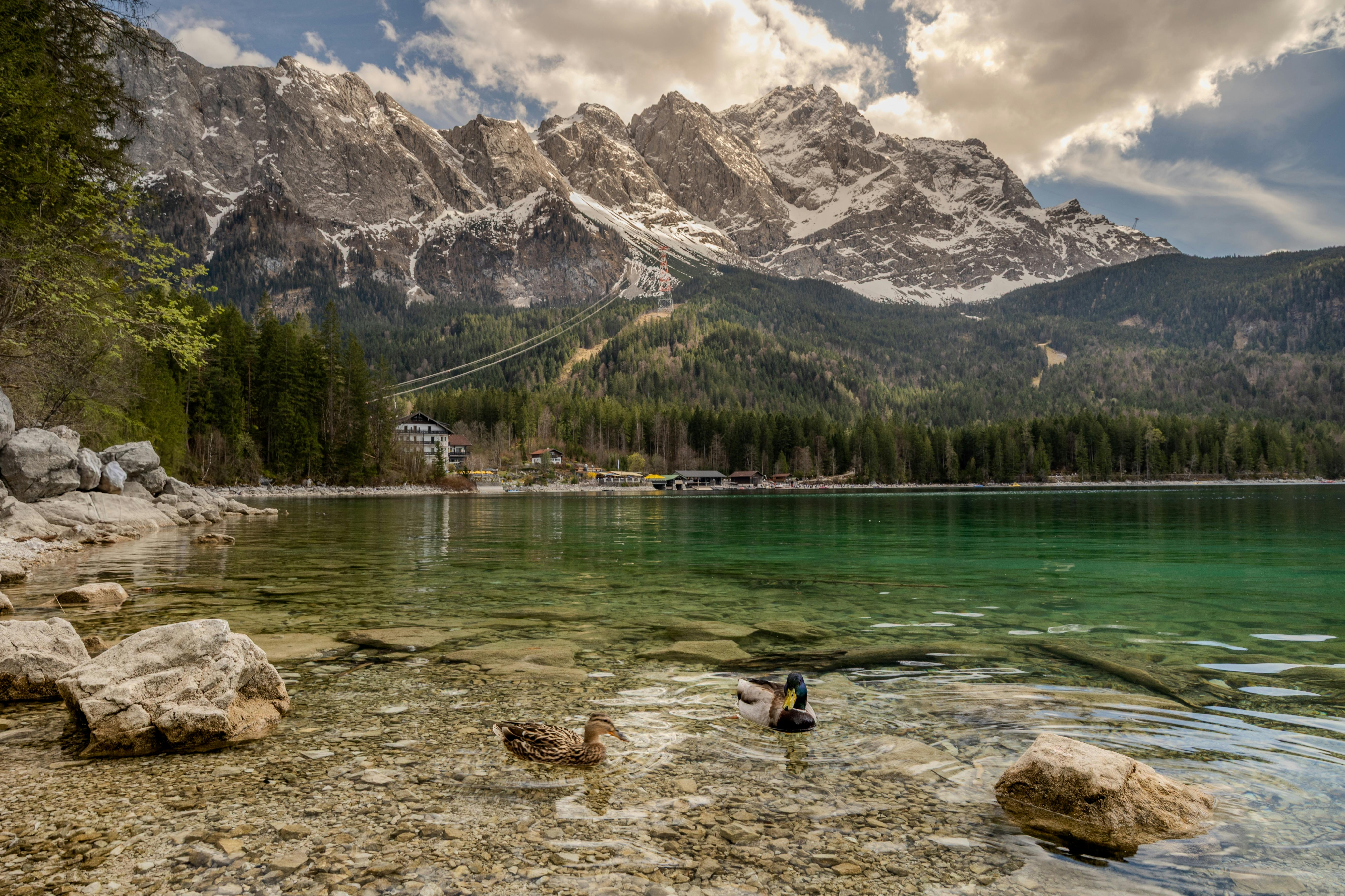5472x3648 Scenic View of Eibsee with Ducks and Mountains · Free