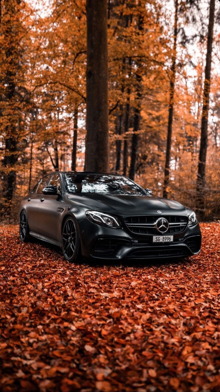 736x1308 Mercedes E63