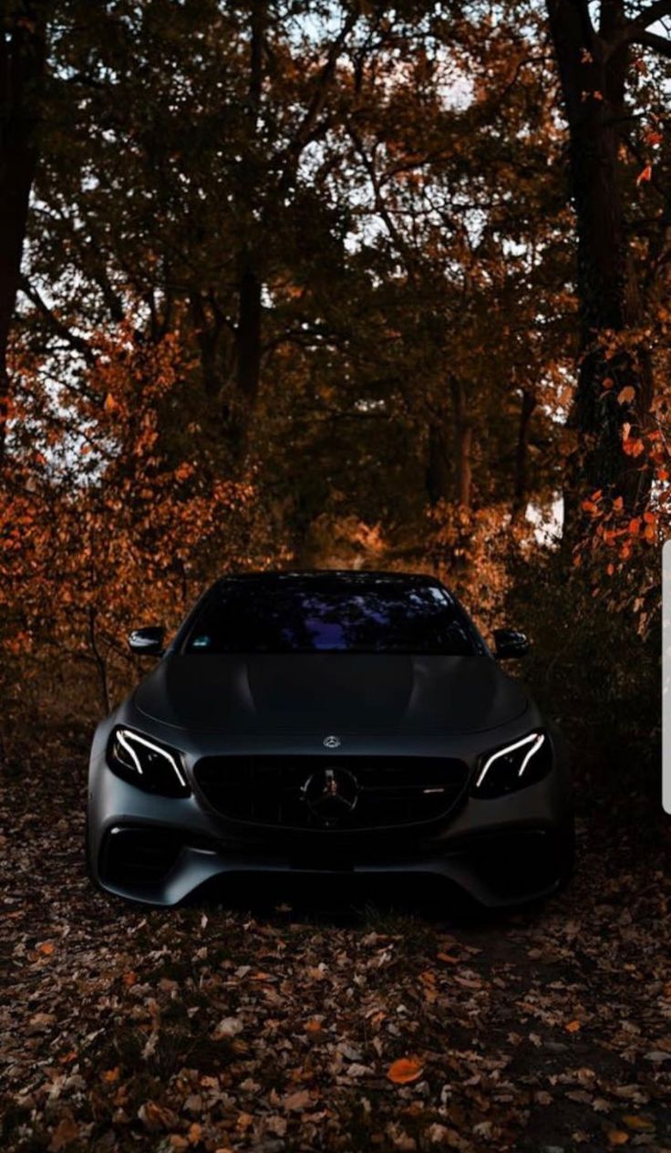 736x1264 MB E63 AMG w213