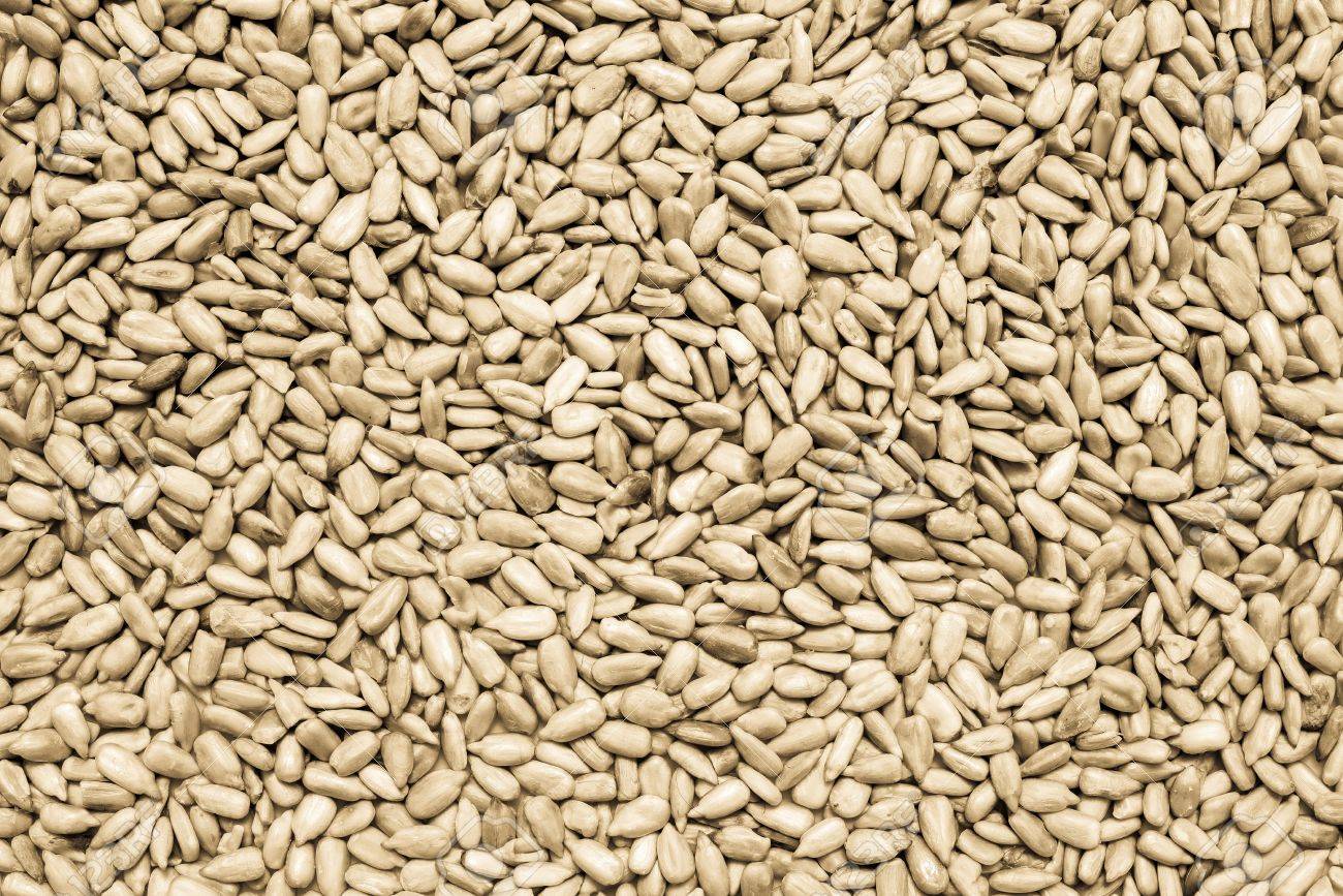 1300x867 The Textured Background From The Cleared Sunflower Seeds For Abstract Food Wallpaper , Picture and Royalty Free Image. Image 47860346