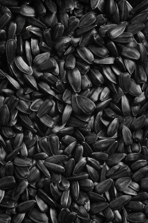 494x740 Sunflowers seeds Image