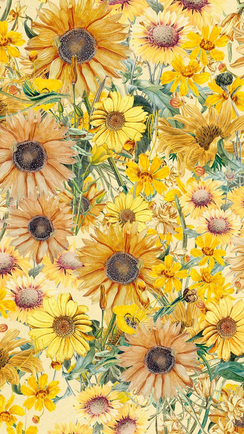 800x1422 Sunflower Wallpaper Image Wallpaper